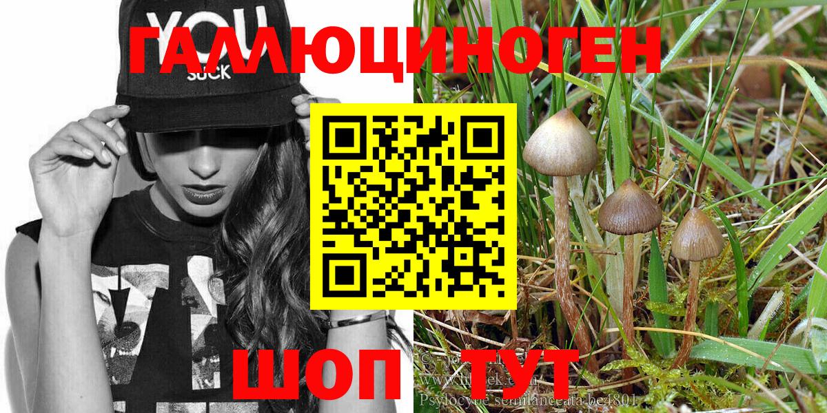 Псилоцибиновые грибы MAGIC MUSHROOMS  Вход с VPN  Октябрьский  Галлюциногенные грибы мухоморы 